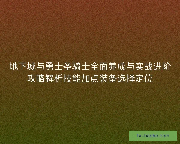 地下城与勇士圣骑士全面养成与实战进阶攻略解析技能加点装备选择定位